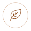 Icon_5-removebg-preview